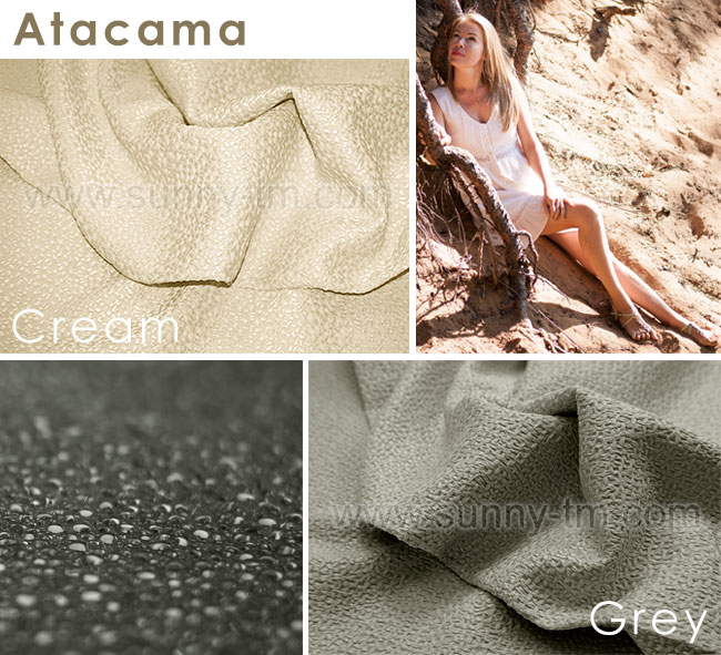     Atacama